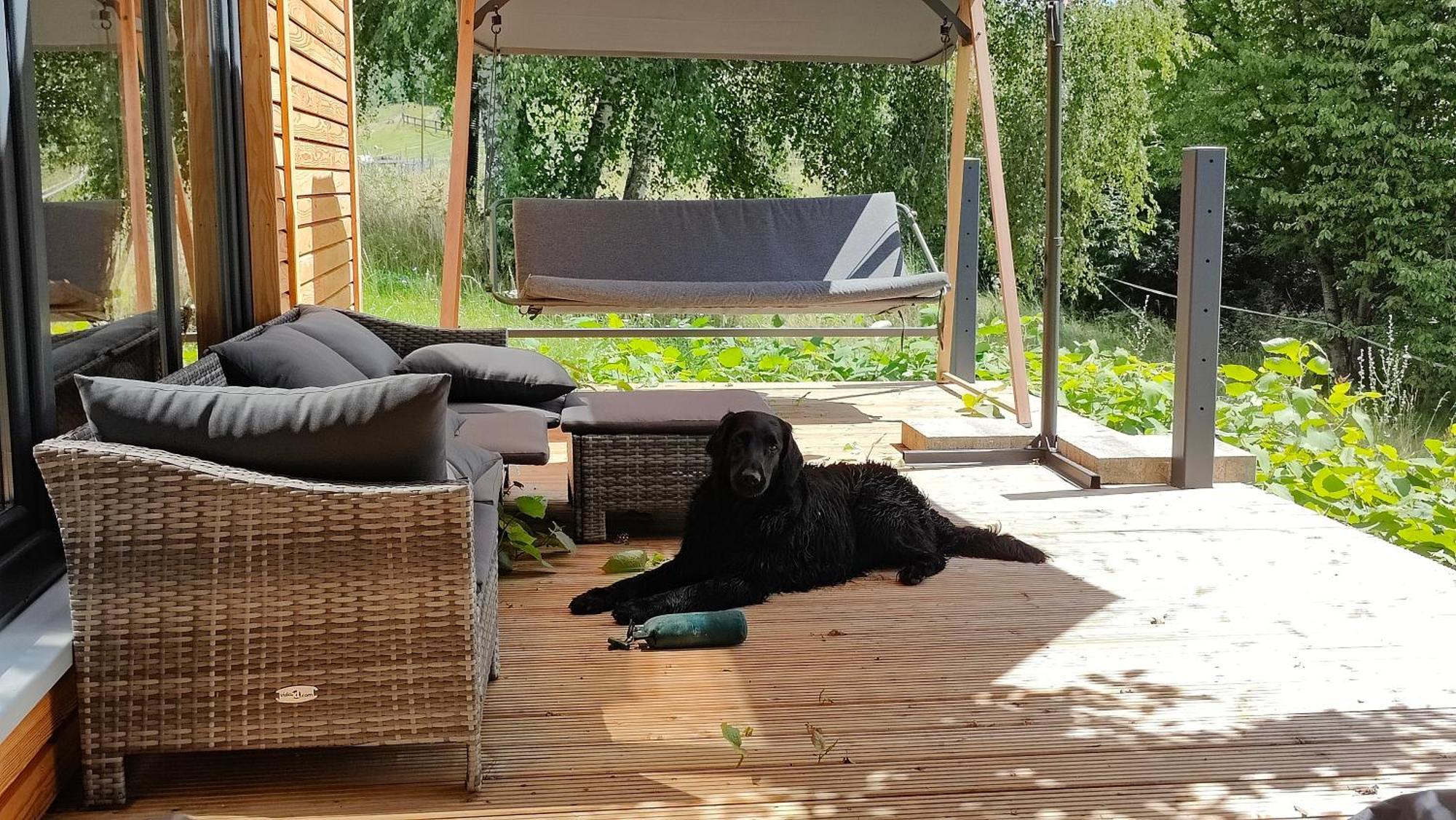 Tinyhousebeidresden 3 Fuer 2 - 7 Personen, Naehe Saechsische Schweiz, Dresden, Mit Badeteich Villa Großharthau Dış mekan fotoğraf